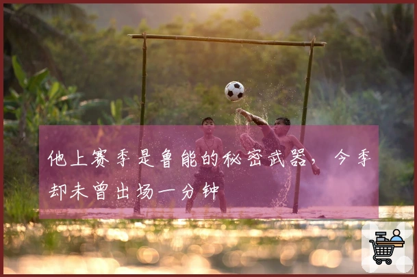 他上赛季是鲁能的秘密武器，今季却未曾出场一分钟